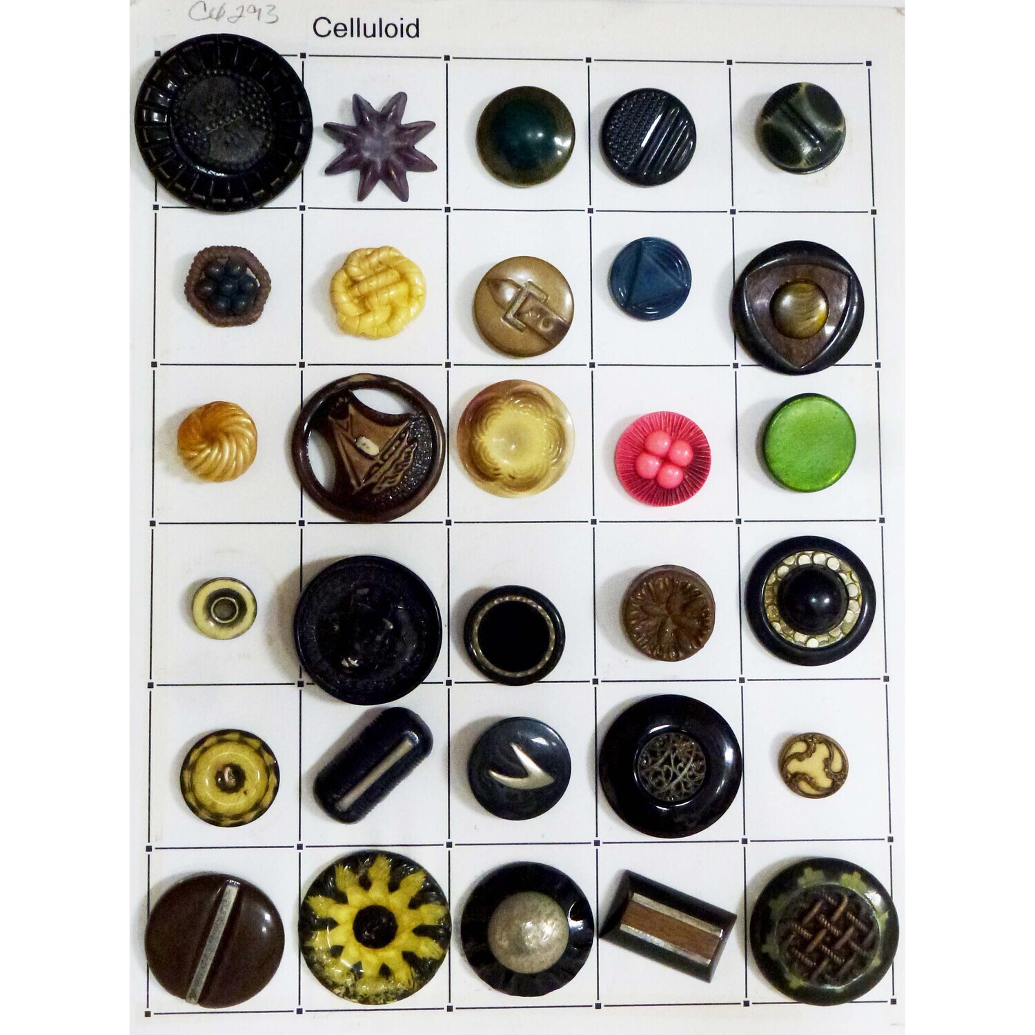 Card of 30 Celluloid Buttons