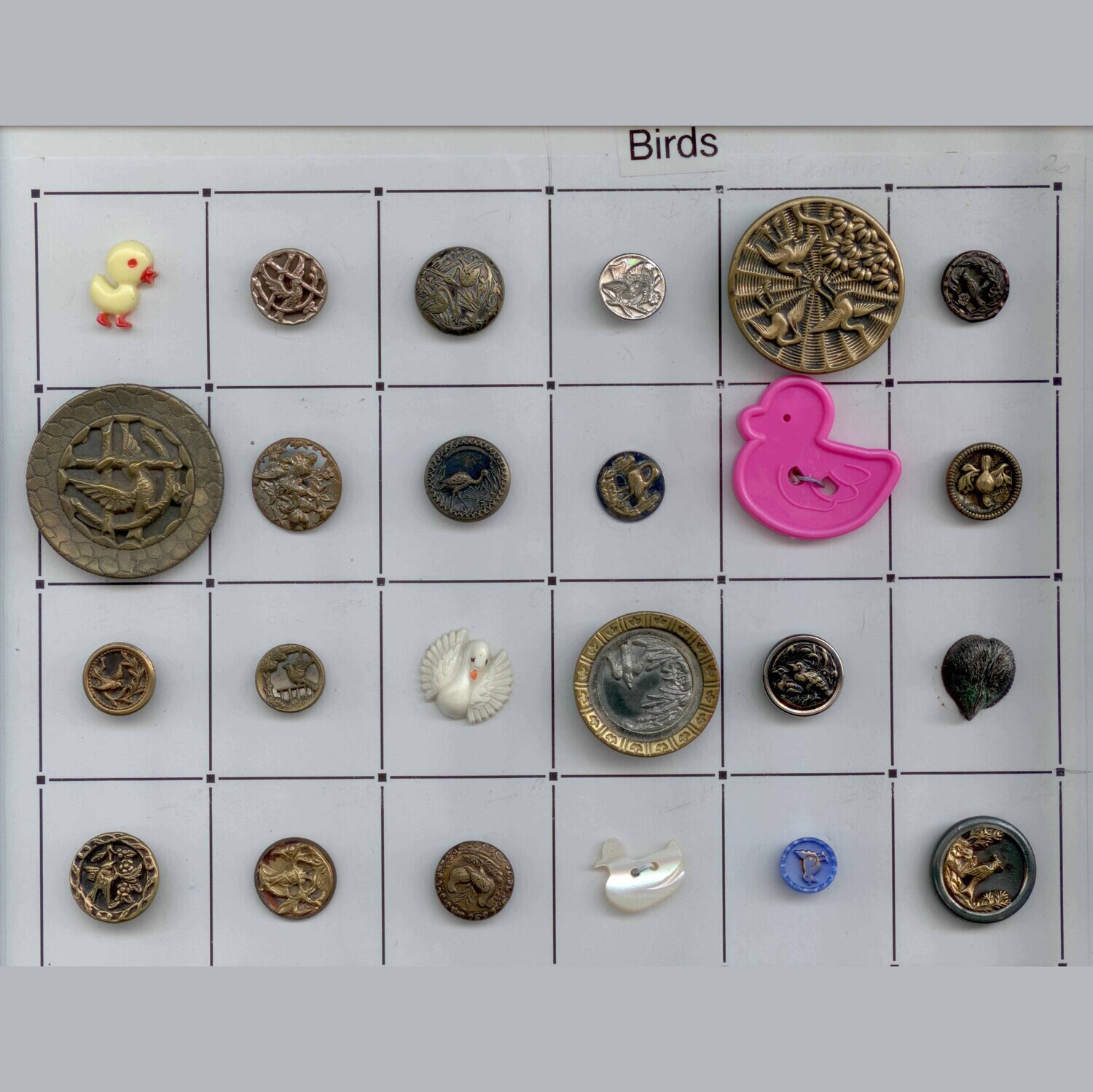 24 Bird Buttons
