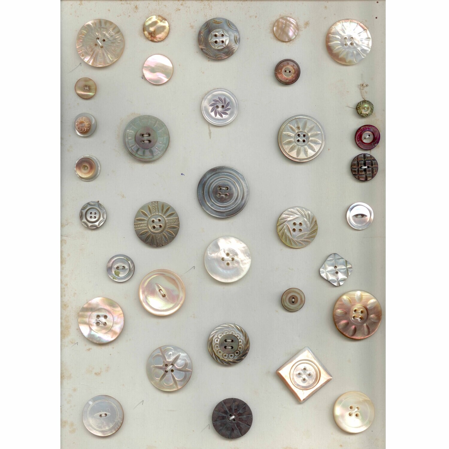 Card of 34 Shell Buttons
