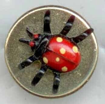 Insect