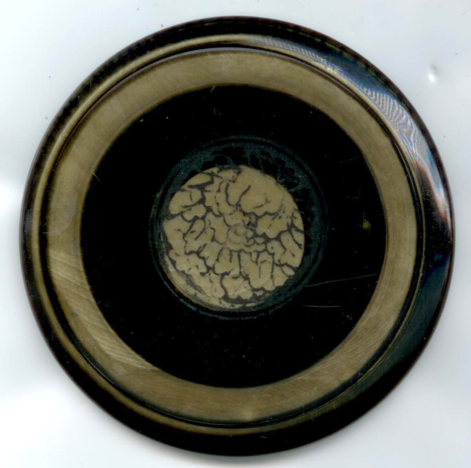 Tight Top Celluloid