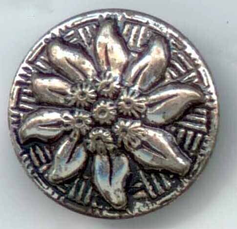 Edelweiss