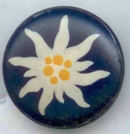 Edelweiss