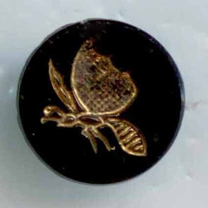 Black Glass, Impressed Insect