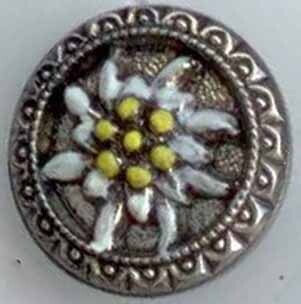 Edelweiss