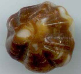 White Swirl Back with Brown Overlay