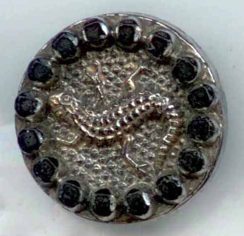 Black Glass Salamander