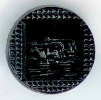 Black Glass with Two Cows