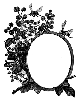 BorderDesign8