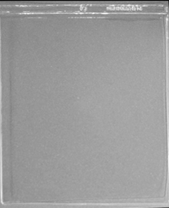 Clear Envelope