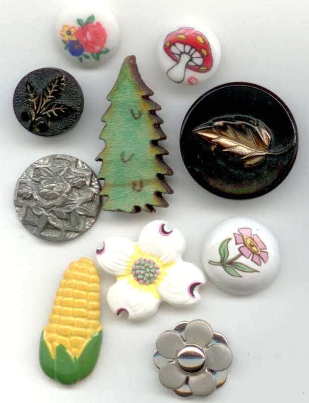 Plant Life Group