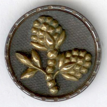 Steel Cup Berries