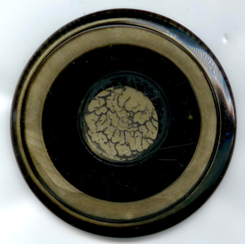 Tight Top Celluloid