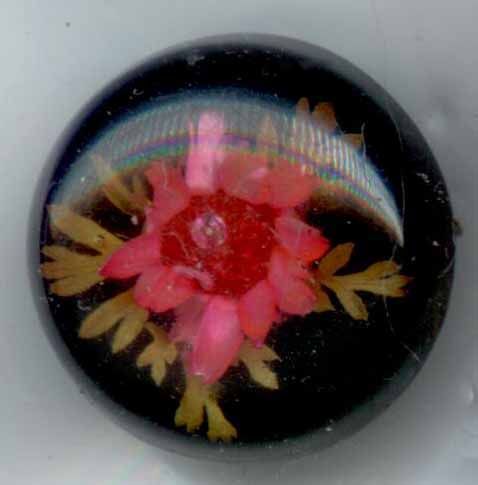 Embedded Flowers