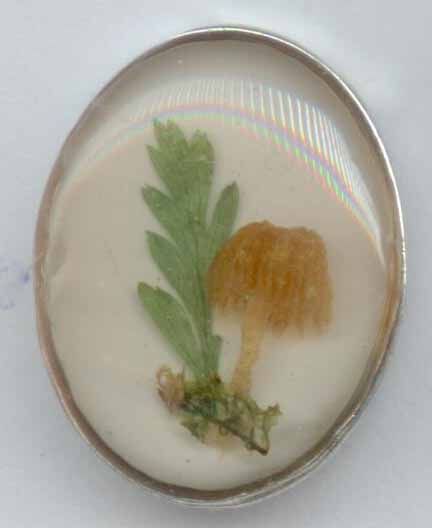Mushroom, Fern &amp; Moss Embedded in Resin