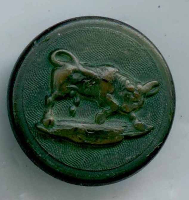 Horn, Bull