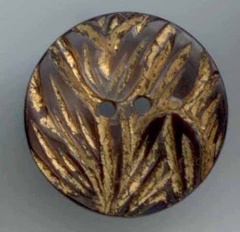 Gilded Shell Tulip