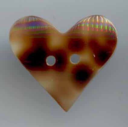 Cowrie Shell Heart