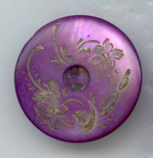 Etched Shell, Purple