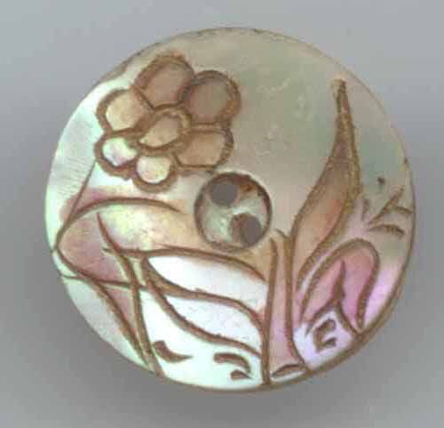 Shell with Plant Life