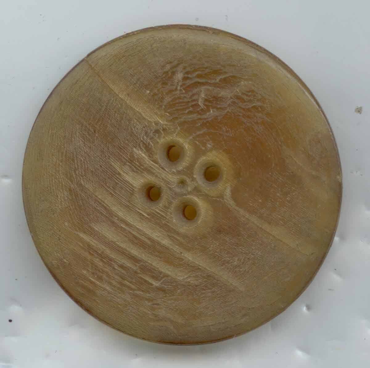 Large Natural Horn