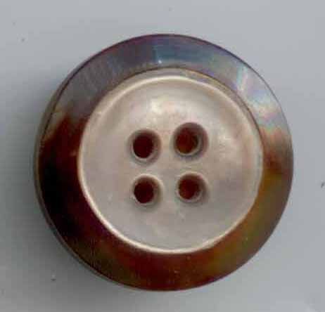 Horn with Shell Inset