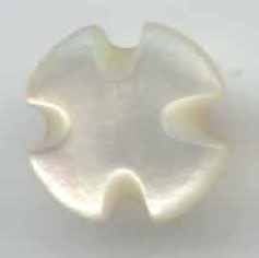 Dimi, Shell, Cross