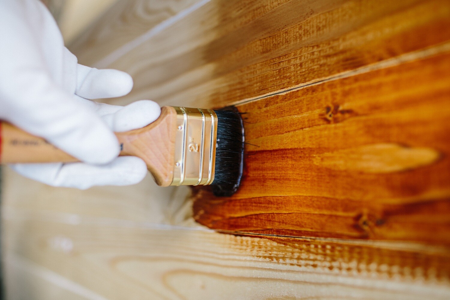 Houtbescherming Schimmelwerende verf Paintstore.be