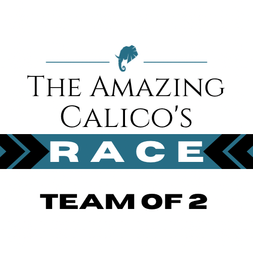 The Amazing Calico&#39;s Race - 2 Man Team