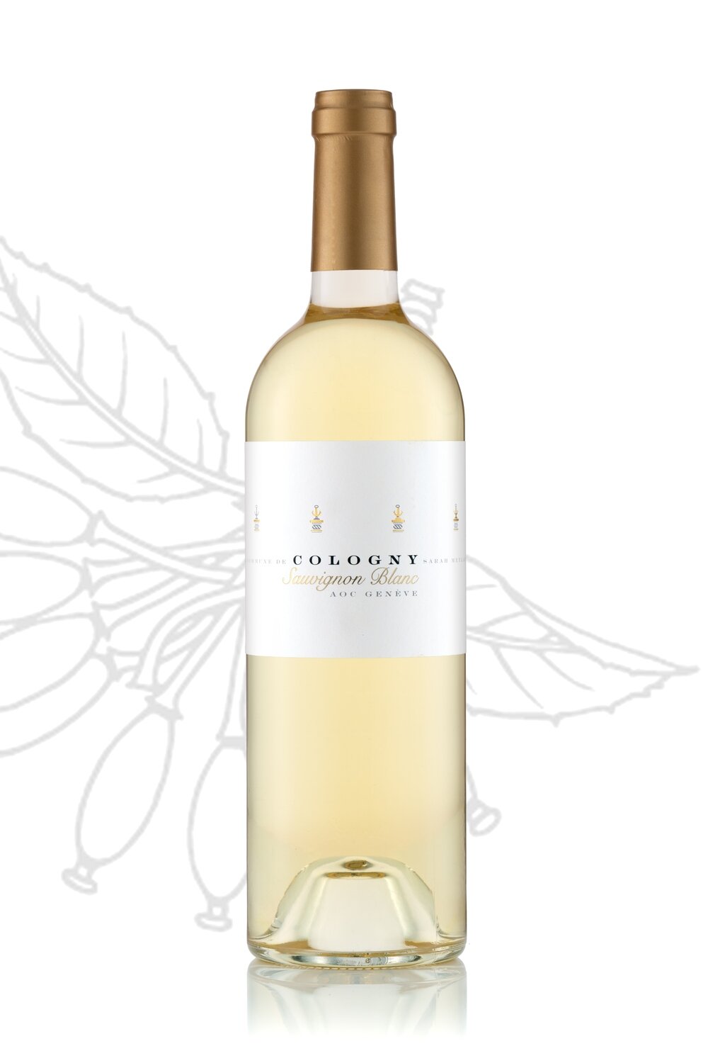 Sauvignon Blanc 2024