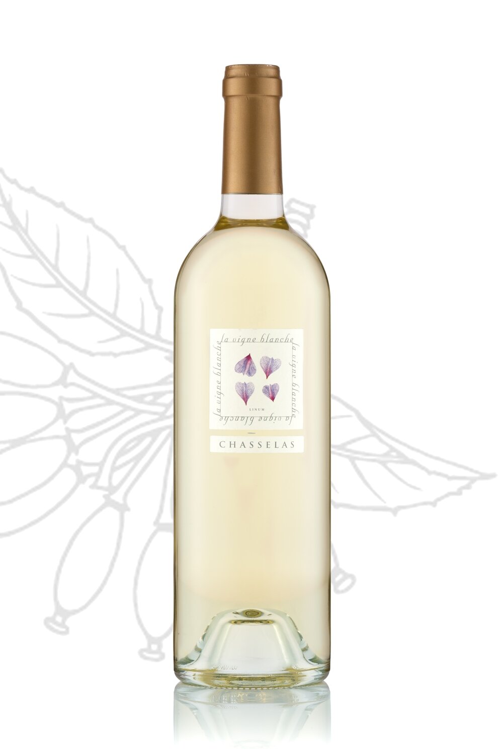 Chasselas 2024