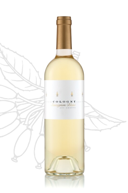 Sauvignon Blanc 2024