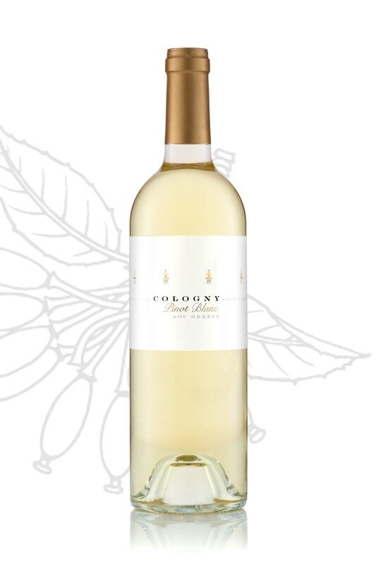 Pinot Blanc 2024