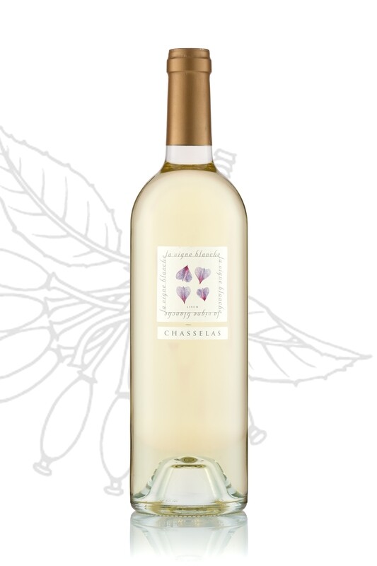 Chasselas 2024