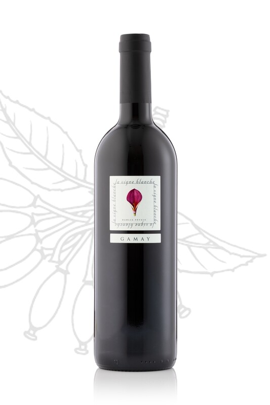 Gamay 2023