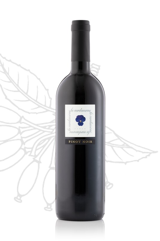 Pinot Noir fût 2023