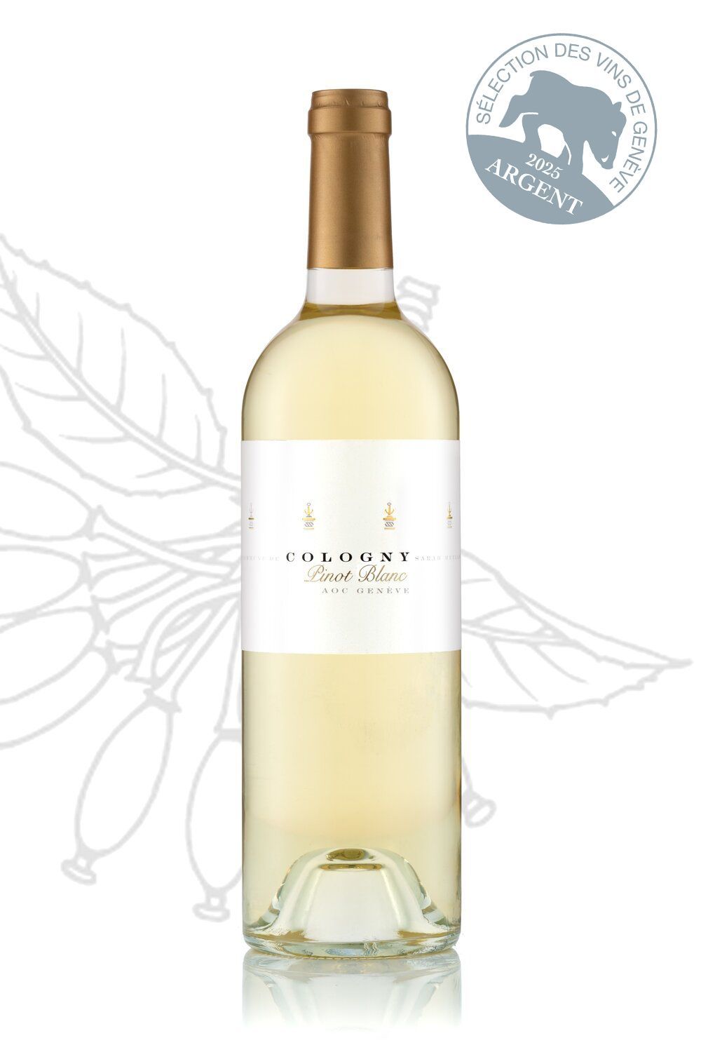 Pinot Blanc 2024