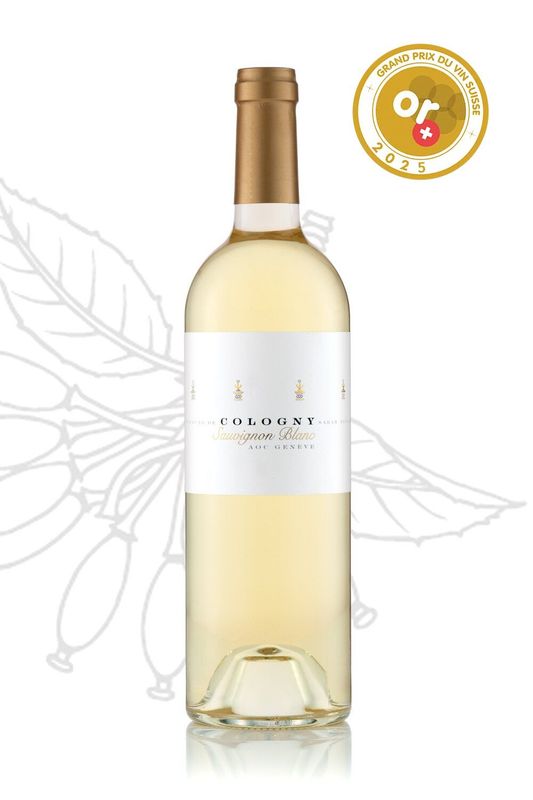 Sauvignon Blanc 2024