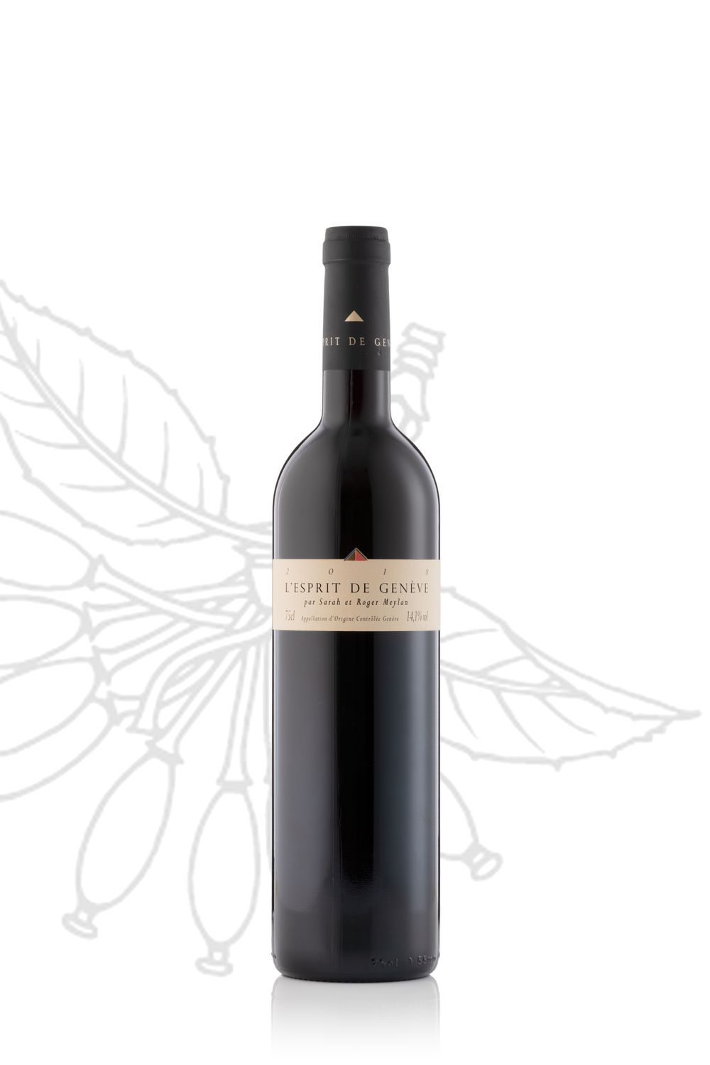 Esprit de Genève 2024