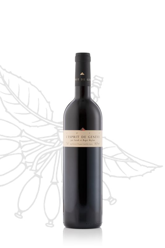 Esprit de Genève 2024