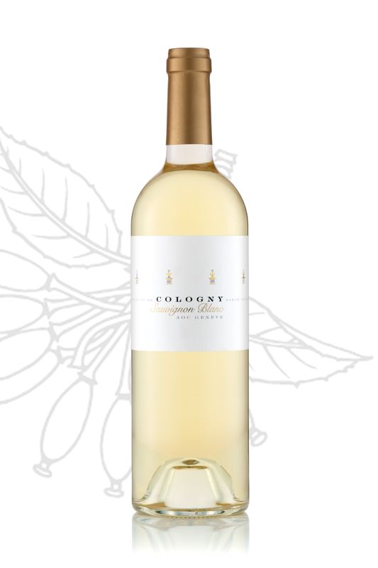 Sauvignon Blanc 2025