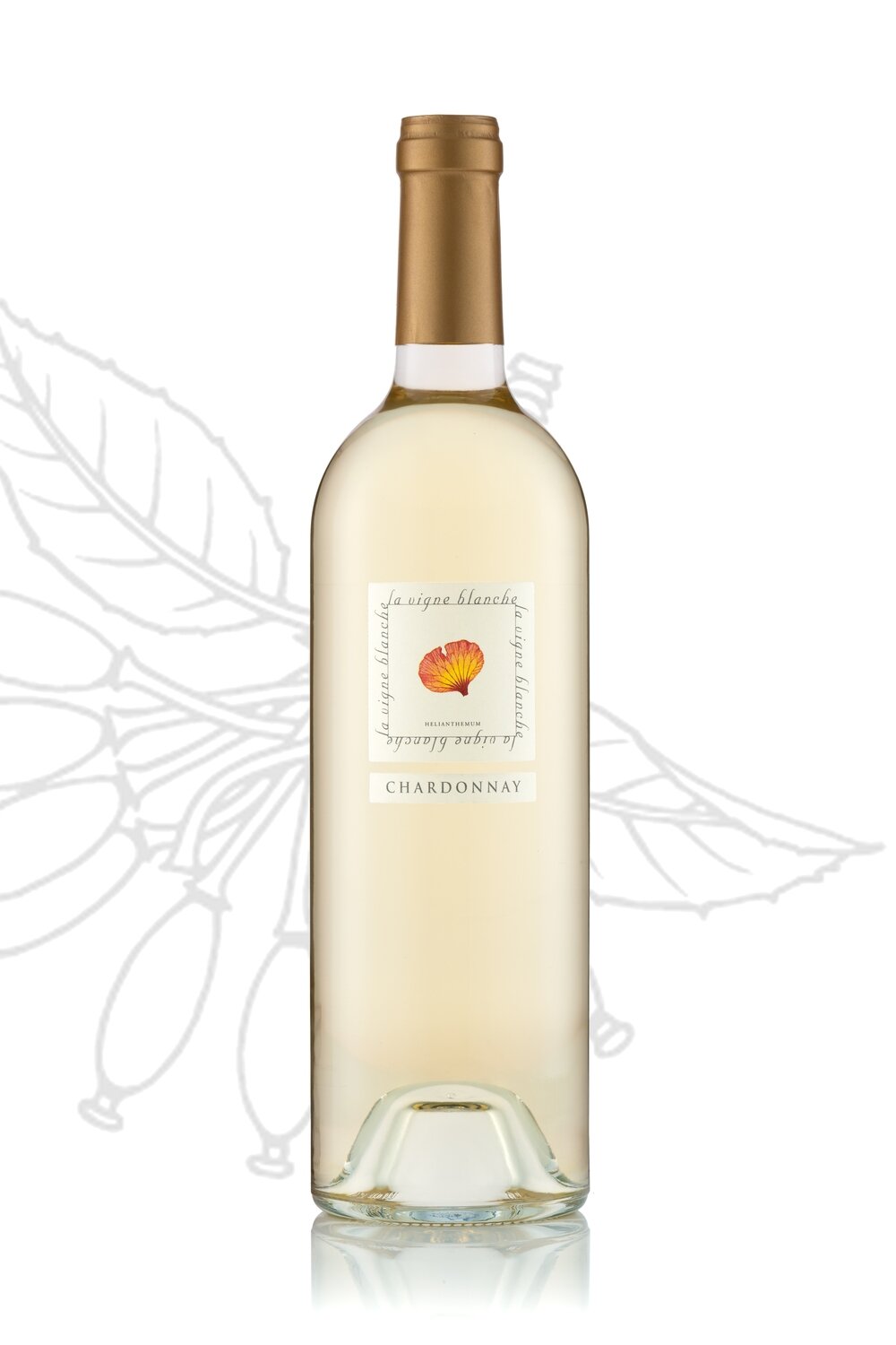Chardonnay 2025