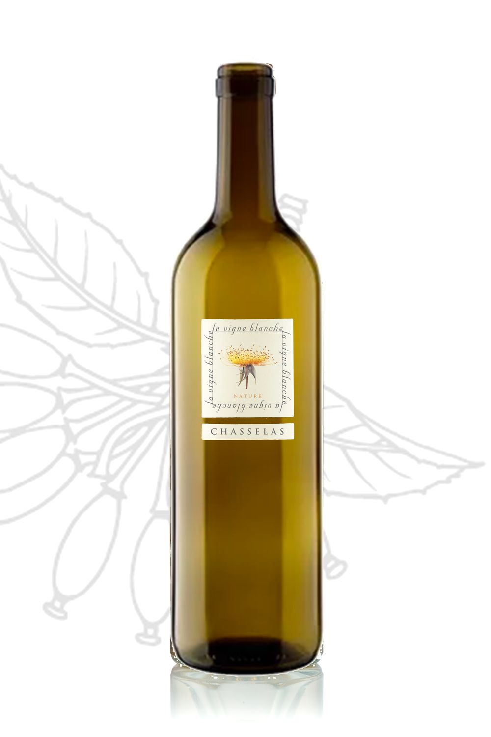 Chasselas nature 2025
