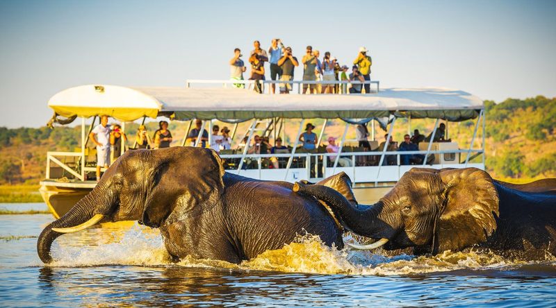 Botsuana - Okavango Chobe y Cataratas 7 días (Parque nacional Chobe)