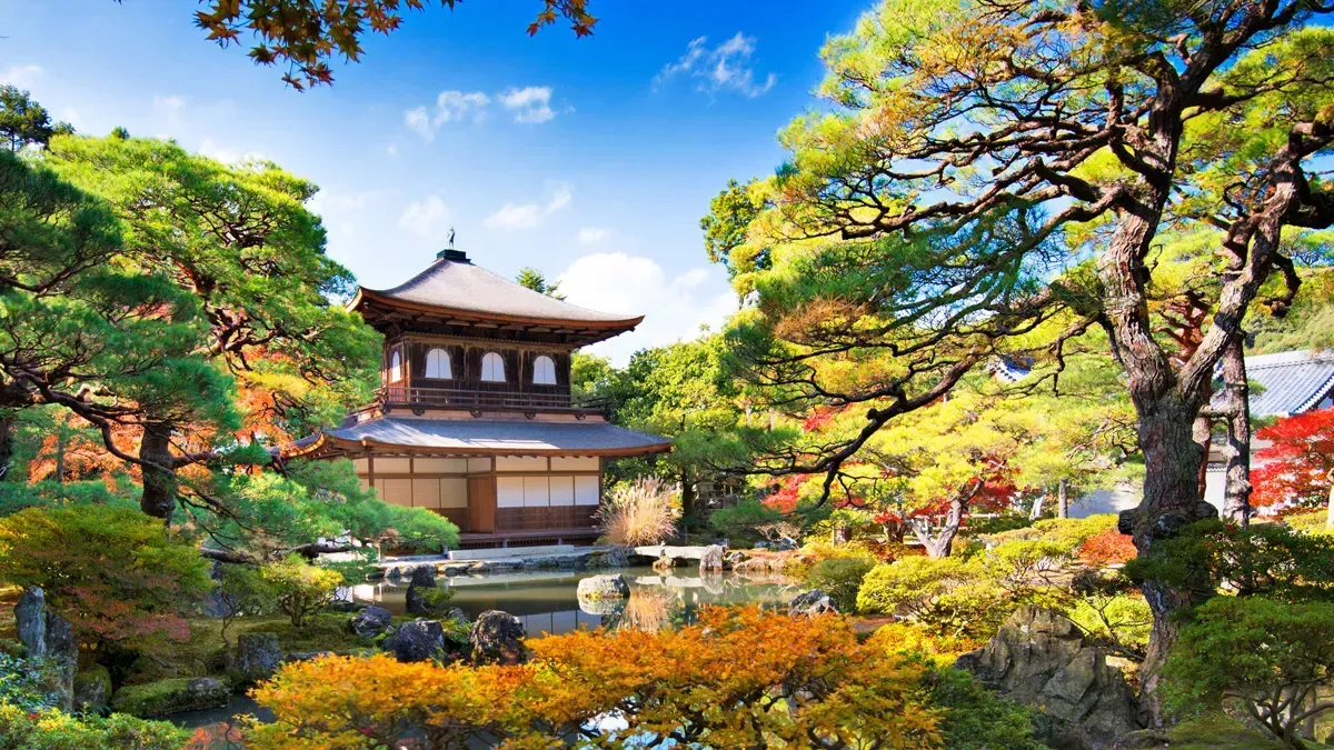 Mikatour Japan Free Plan Kanazawa  (Mayo 2026  - Octubre 2026)