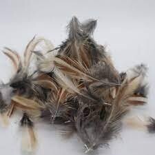 Quail Feathers for Fly Tying And Crafts