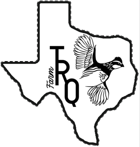 Texas Sticker