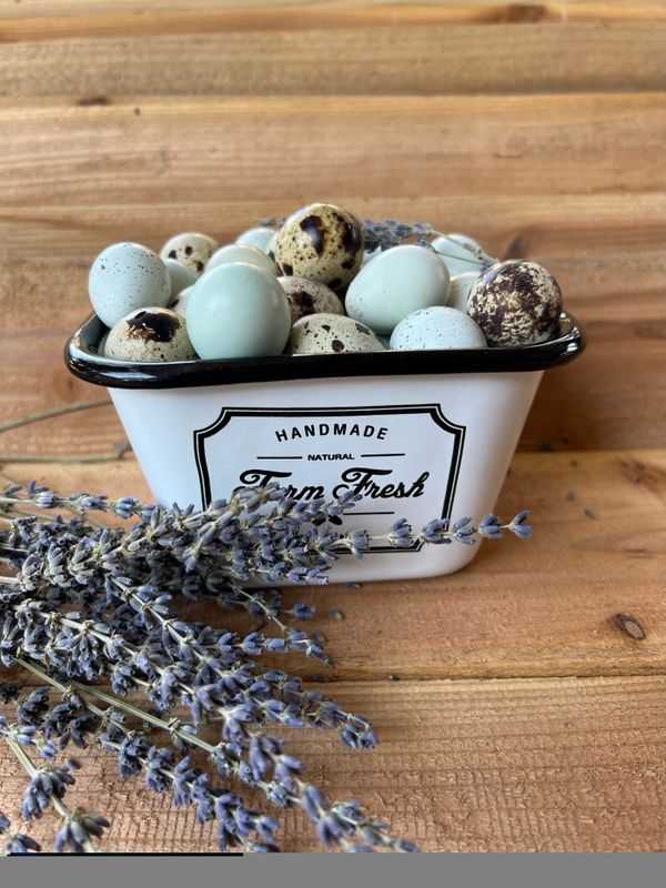 Farm Fresh Quail Eggs -All Natural Non-GMO 24pk