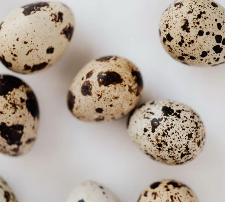 Balut