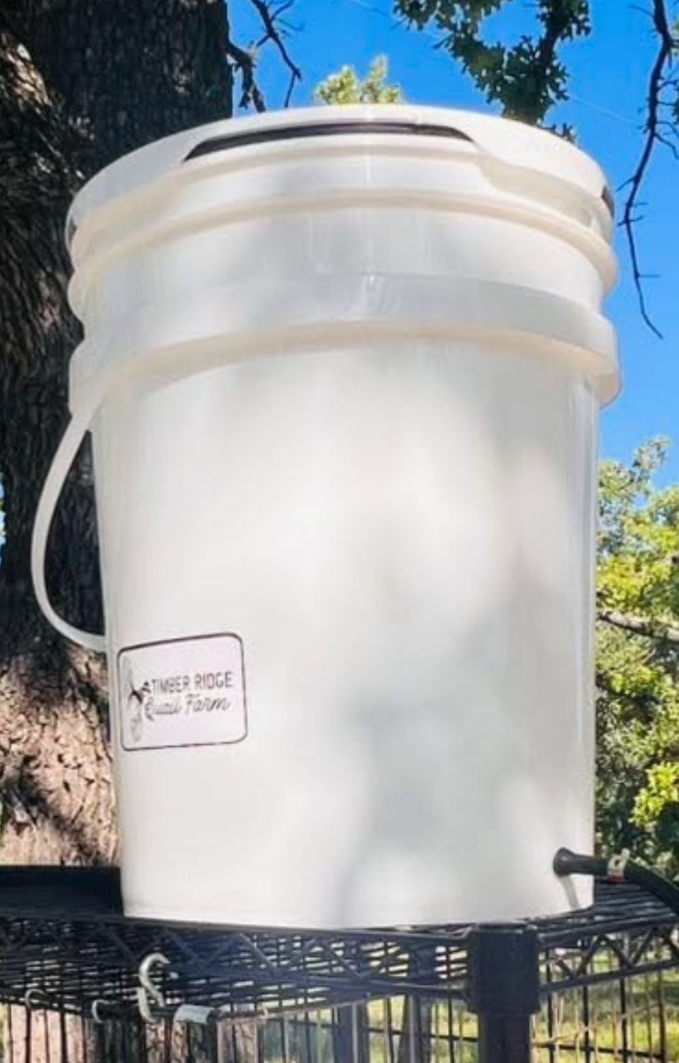 5 Gallon Water Bucket